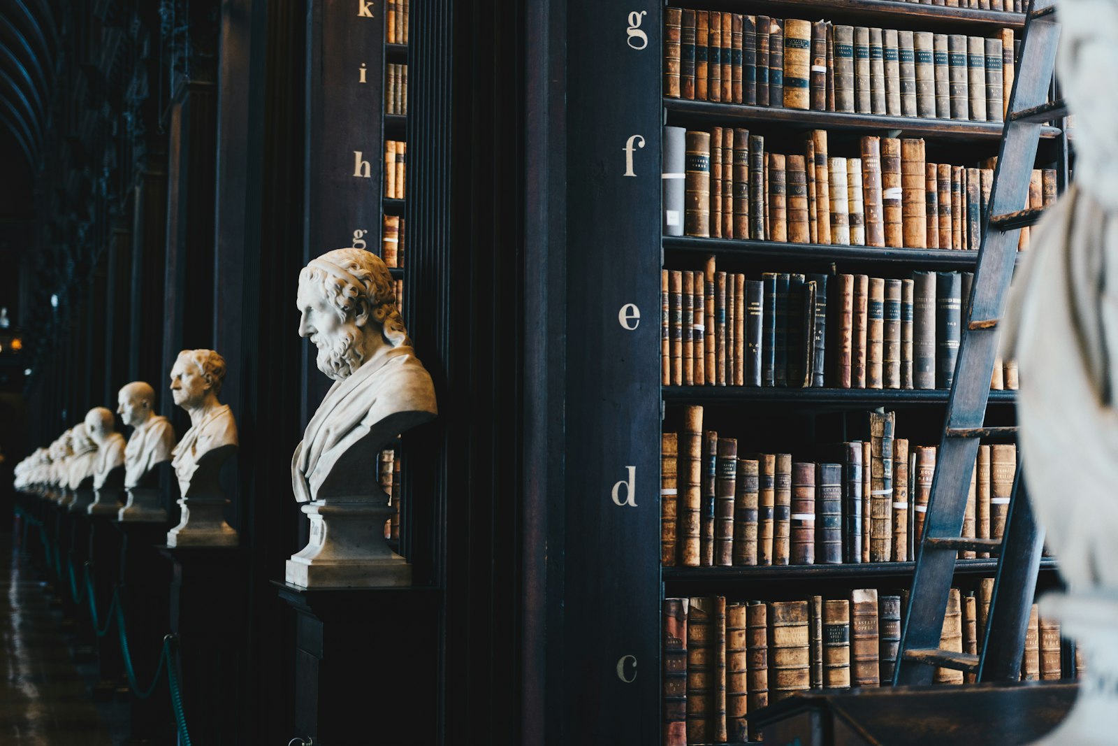 The firm's reference library — busts, statutes and shelved case reports